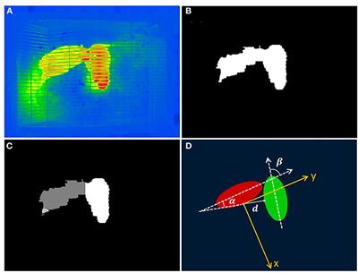 Electromagnetic Exposure Dosimetry Study on Two Free Rats at 1.8 GHz via Numerical Simulation